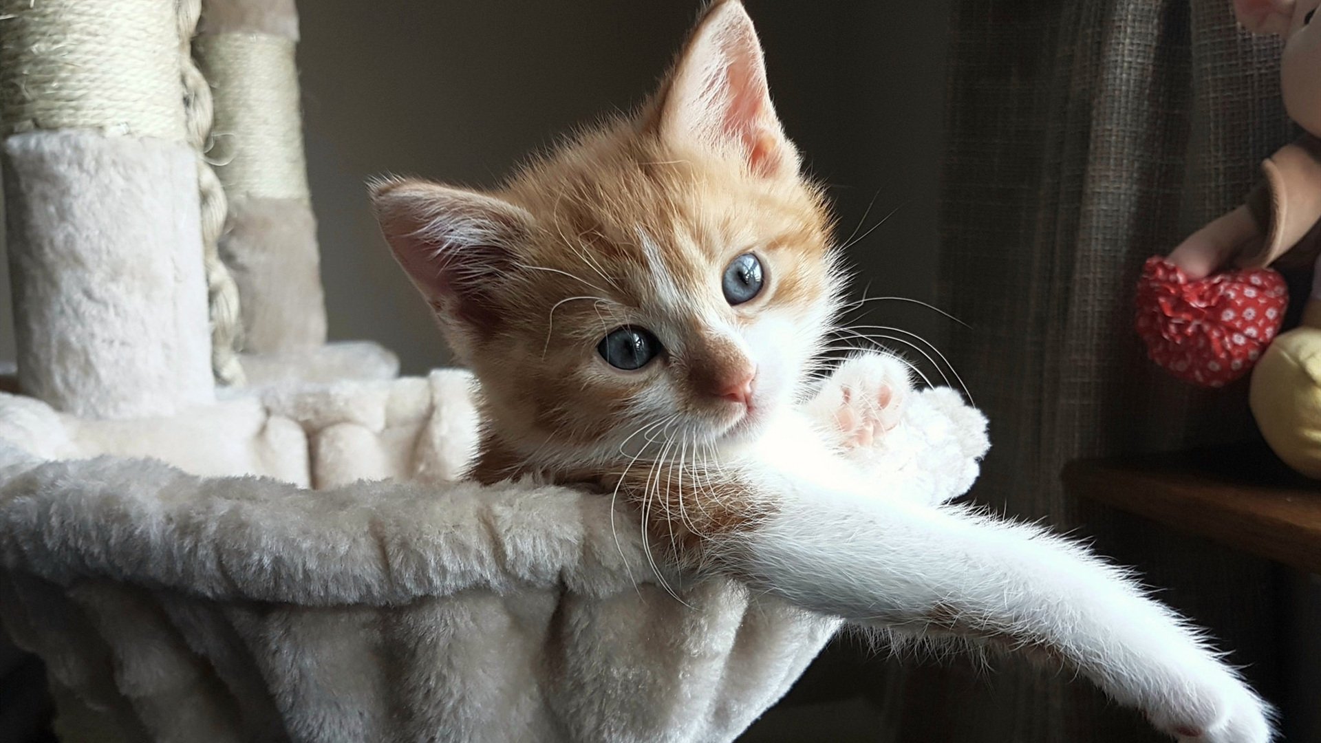 米兰体育官网-中国女篮持续调整战术结构增强稳定性,中国女篮持续调整战术结构增强稳定性的原因 第2张 米兰体育官网-中国女篮持续调整战术结构增强稳定性,中国女篮持续调整战术结构增强稳定性的原因 第2张