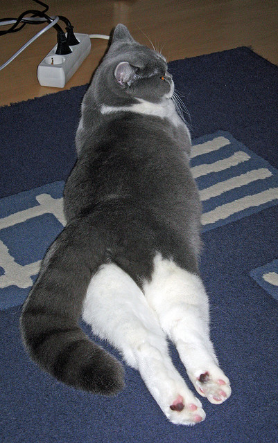 米兰体育-五大联赛比赛中是否越来越多采用双边路突破战术，双边路体系