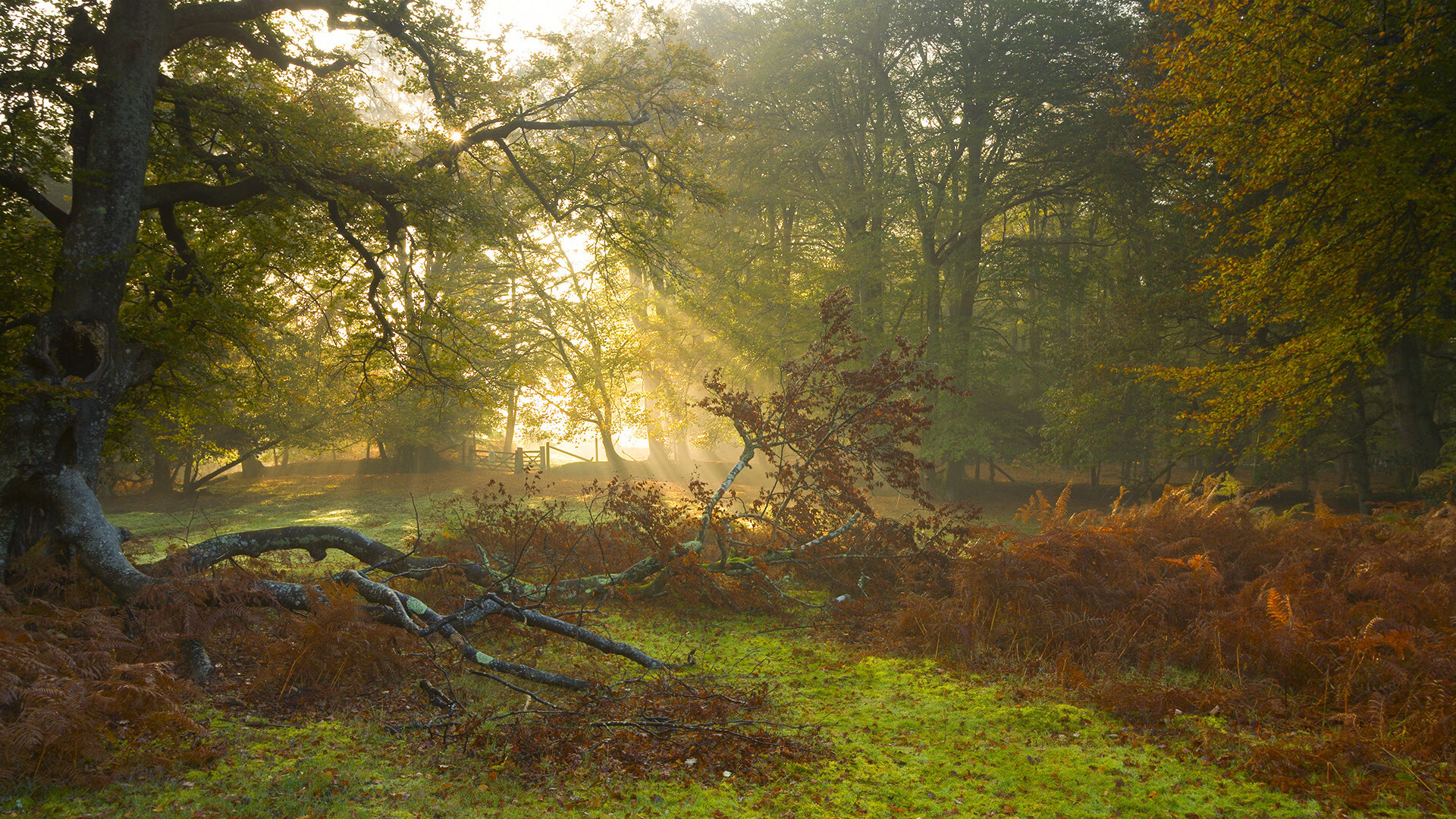Milan Sports-奥运备战重心转向选手恢复与心理调适