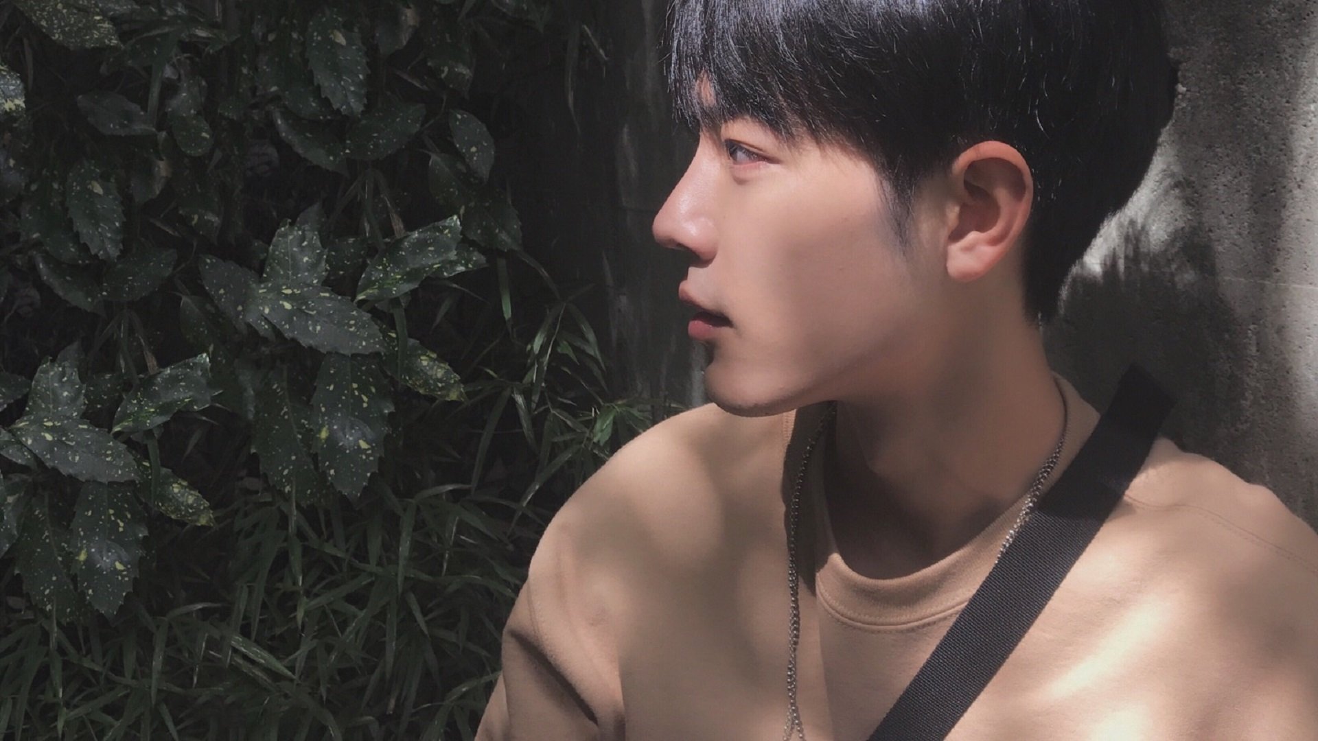 米兰体育官网-西班牙男子游泳队技术雷达图优化，西班牙游泳选手犯规