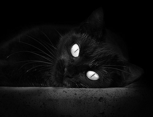 -中超球队冬歇期赴国外拉练加强技战术磨合，中超冬歇期多长时间