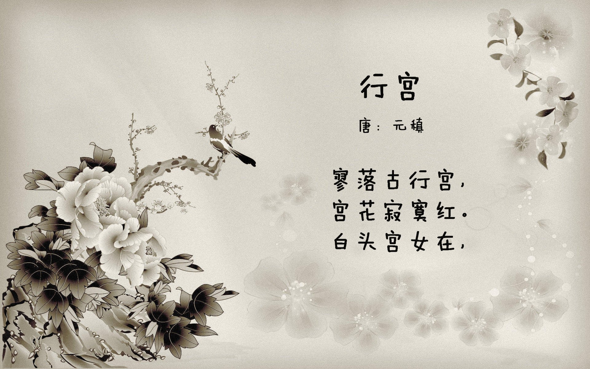 -塞尔·拉恩:他是全黑队的“爆发力之源”,突破速度让对方防线难以应对