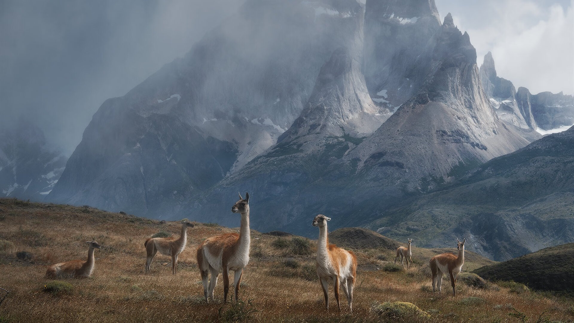 AC米兰-女子英格兰队世界排名持续上升，英格兰输球后,英国女性行动起来了