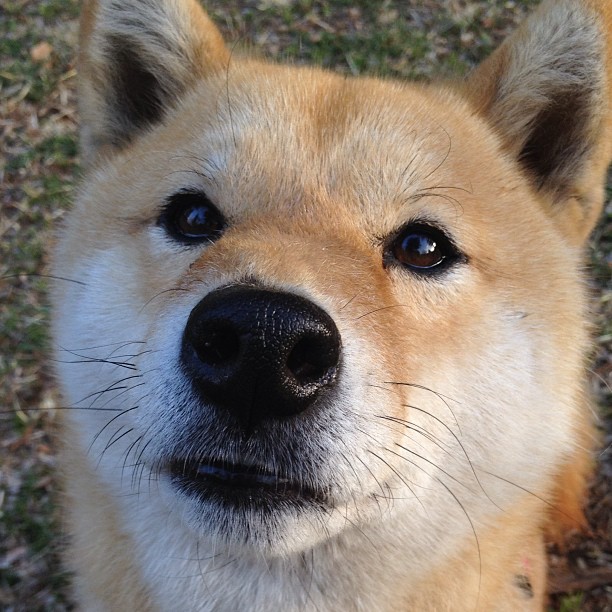 Milan Sports-德布劳内状态火热，带领曼城继续领跑