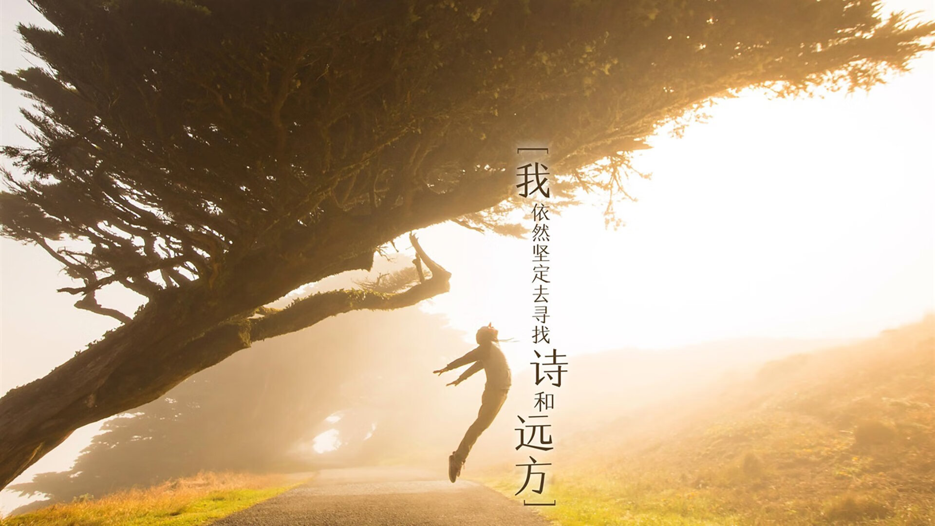 MILANSPORT入口-德甲迅猛反击:瞬间突破,场面火爆!,德甲速度