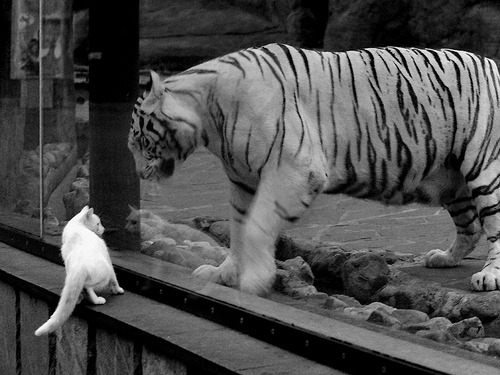 米兰体育官网-斯密斯：全黑队半场与后场进攻的心脏，推动攻势一步步实现，jr斯密