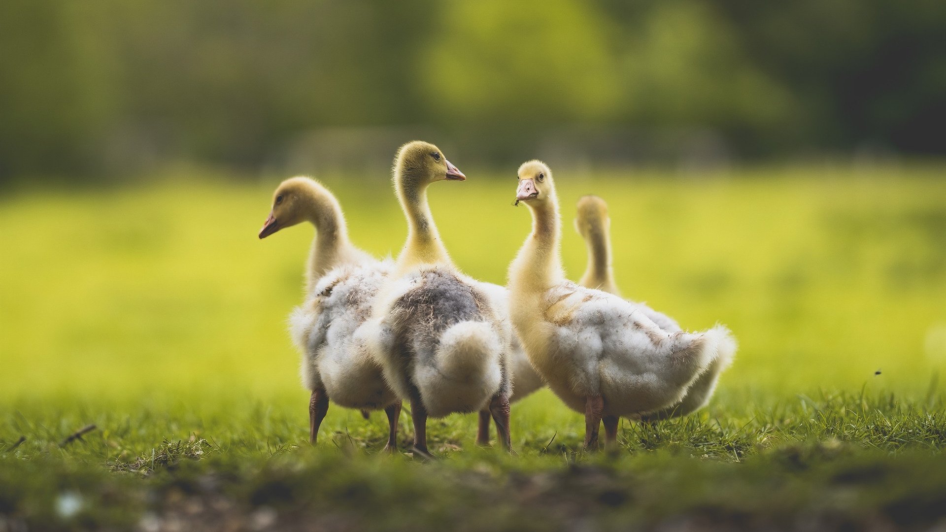 -新闻中心发布全国高水平运动员数据管理平台开放信息,高水平运动员成绩查询