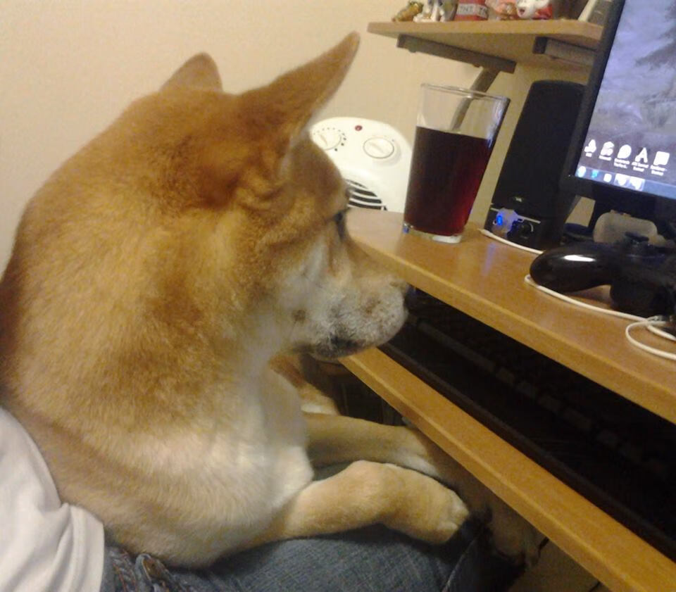 米兰体育-简:以强悍的个人能力和速度,成为全黑队的反击主力,简shu