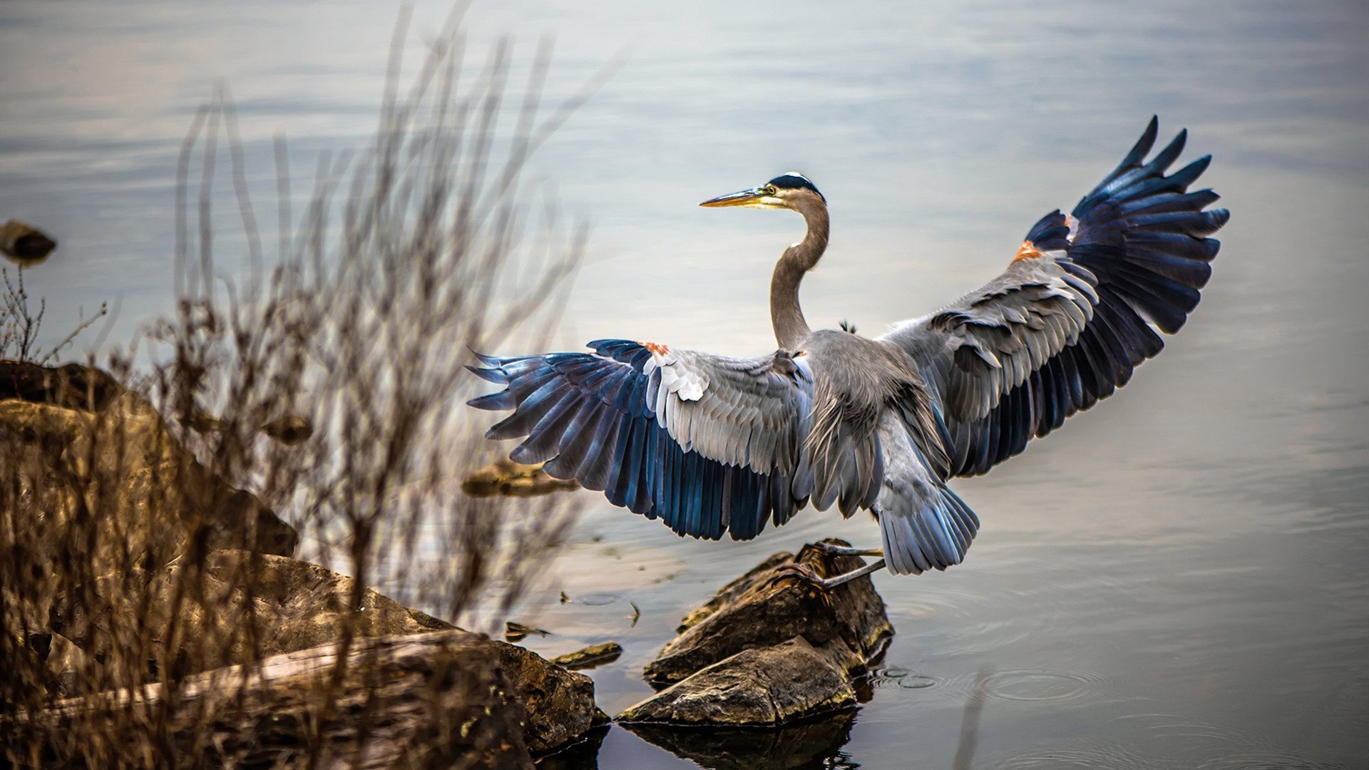 米兰体育官网-英国男子4×200米自由泳接力决赛引发媒体热议,伦敦奥运会男子4×200米自由泳接力决赛