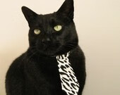 -范奥特尔戴克决赛中段突然发力，范戴克转会