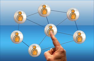 -CBA是否推动球队设立独立公共事务沟通岗位，组建cba球队